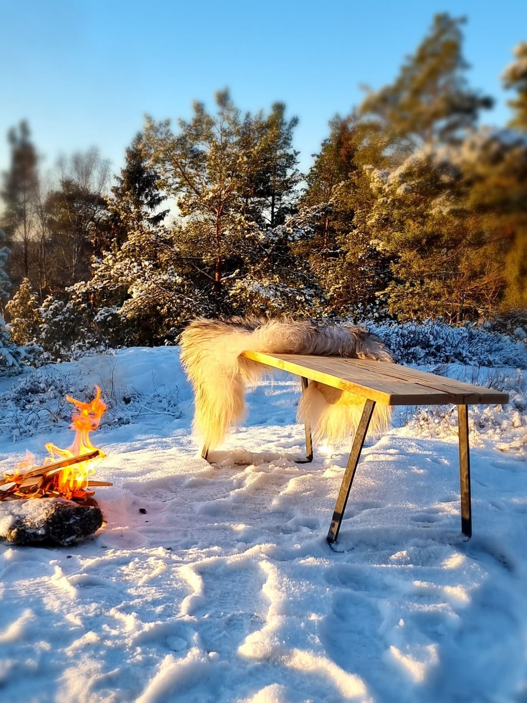 Bänk i snölandskap